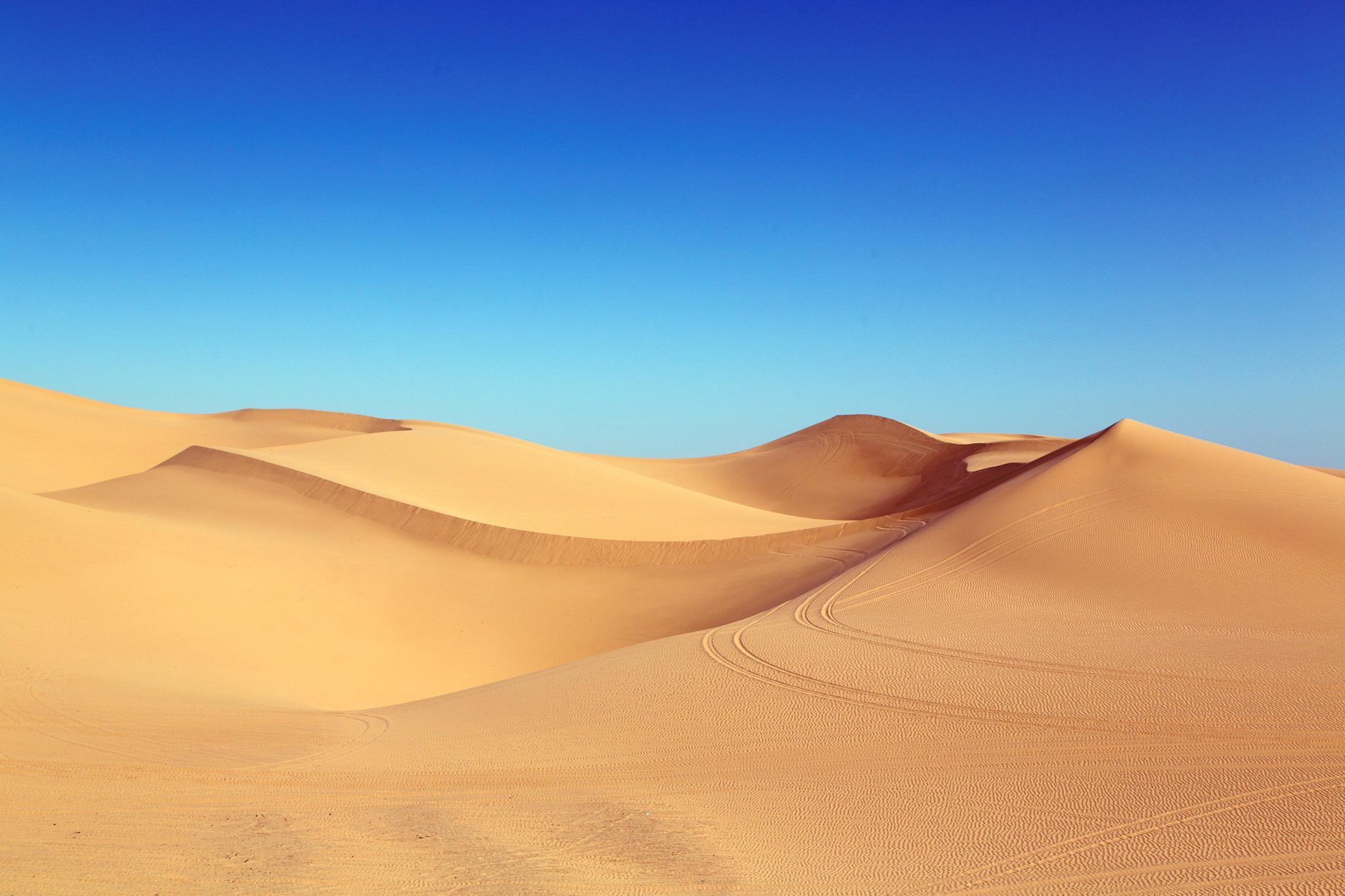 Vast Desert at Daytime